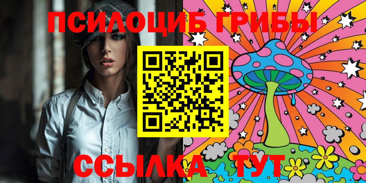 Галлюциногенные грибы Psilocybe Тобольск